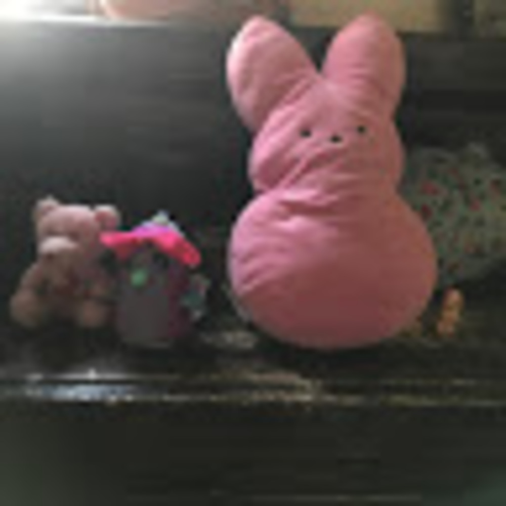 Meet your Posher, Peeps and bear and hachaimal